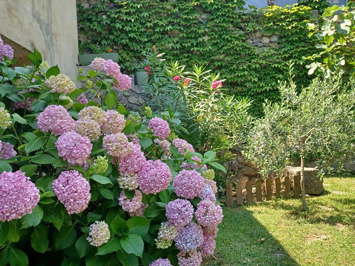 Les Glycines Bed and Breakfast Le Vigan  Exteriör bild